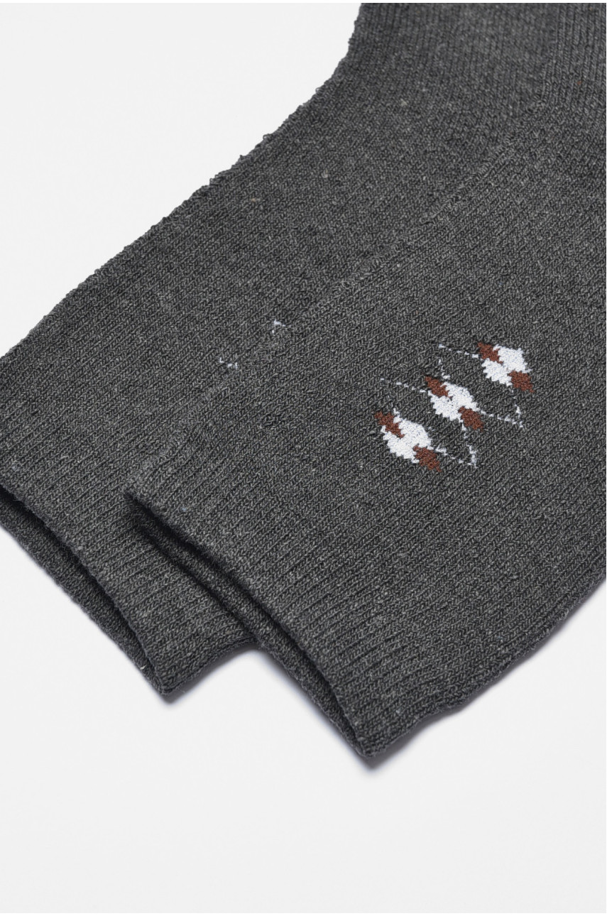 Шкарпетки чоловічі махрові темно-сірого кольору 773 190349