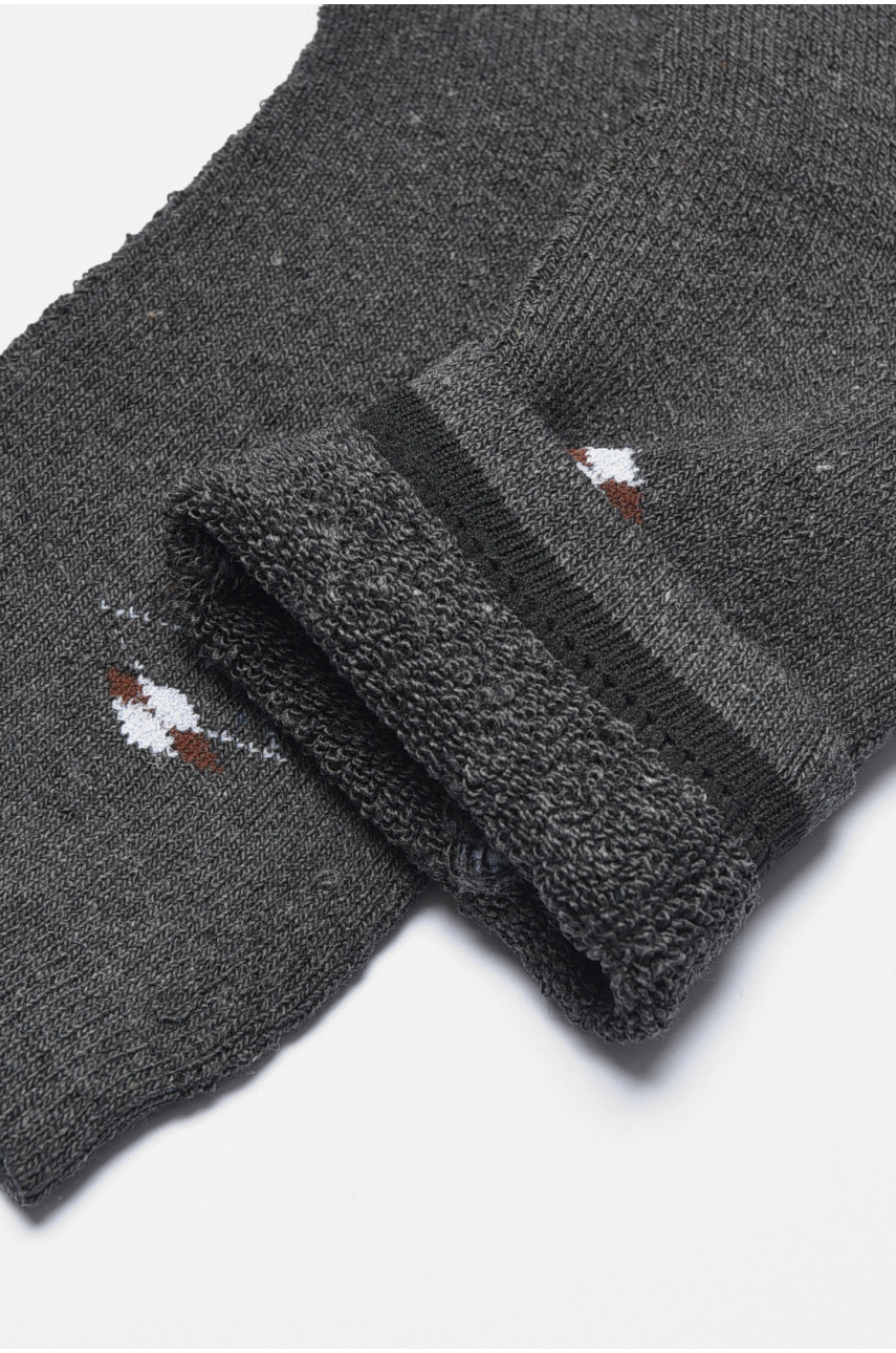 Шкарпетки чоловічі махрові темно-сірого кольору 773 190349