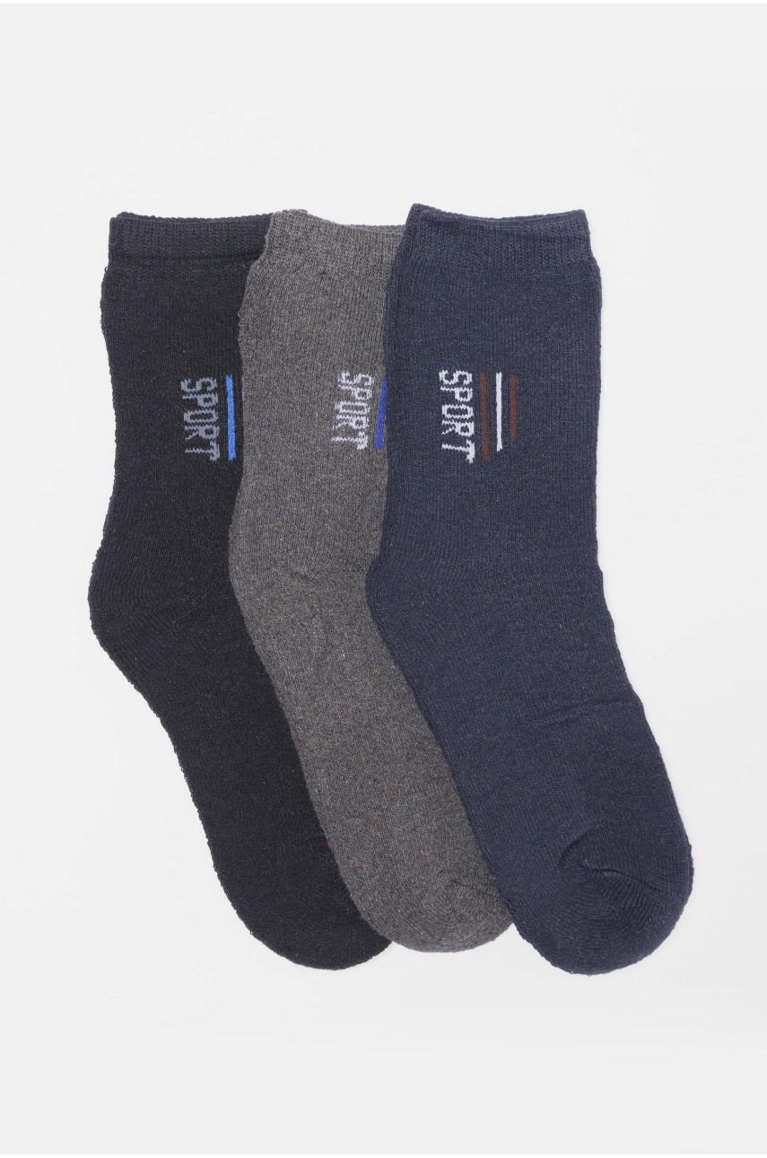 Набір шкарпеток чоловічих махрових 3 штуки 104 190354