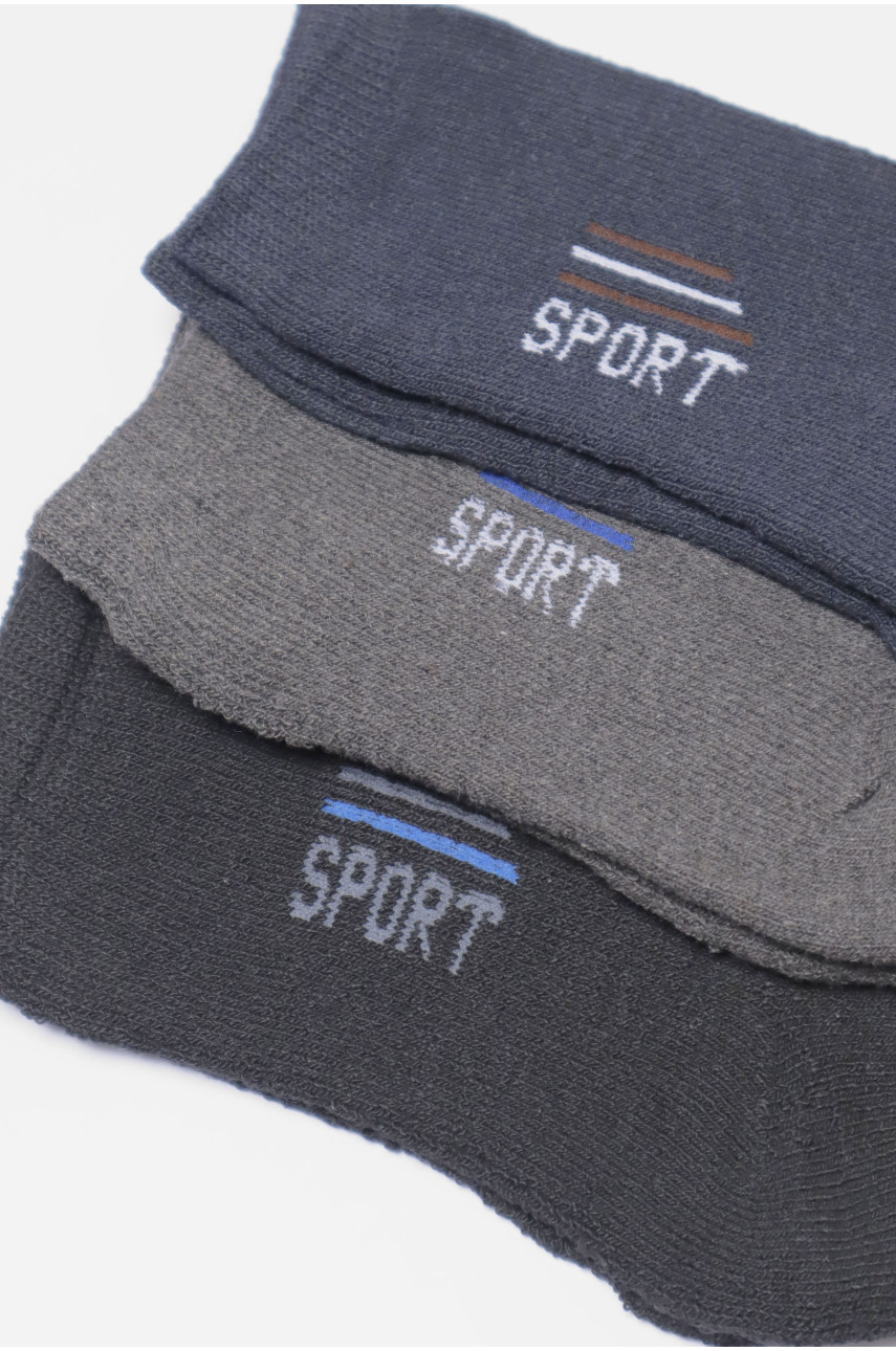 Набір шкарпеток чоловічих махрових 3 штуки 104 190354