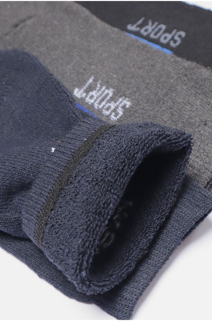 Набір шкарпеток чоловічих махрових 3 штуки 104 190354