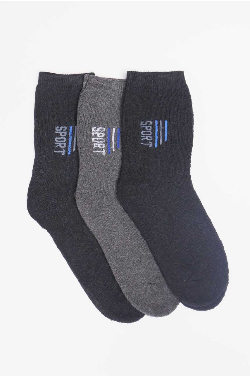 Набір шкарпеток чоловічих махрових 3 штуки 104 190355