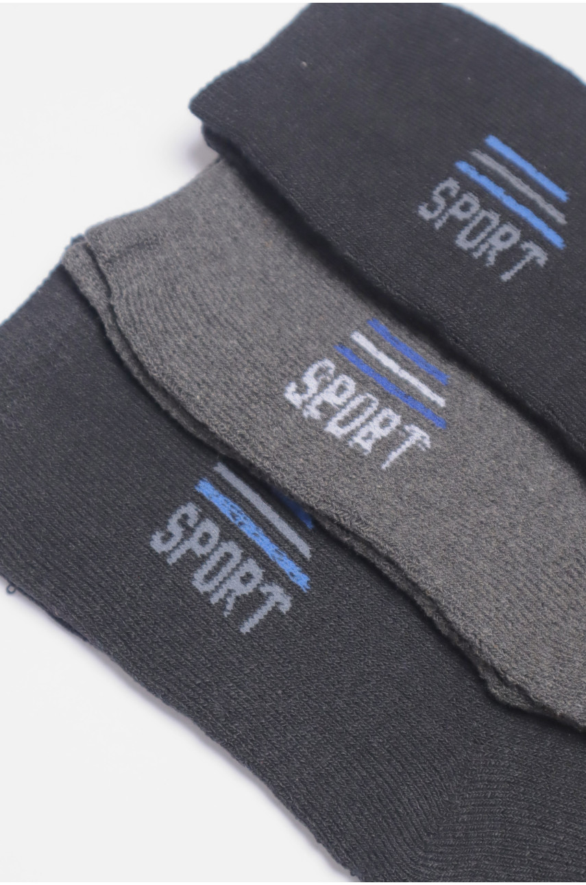 Набір шкарпеток чоловічих махрових 3 штуки 104 190355