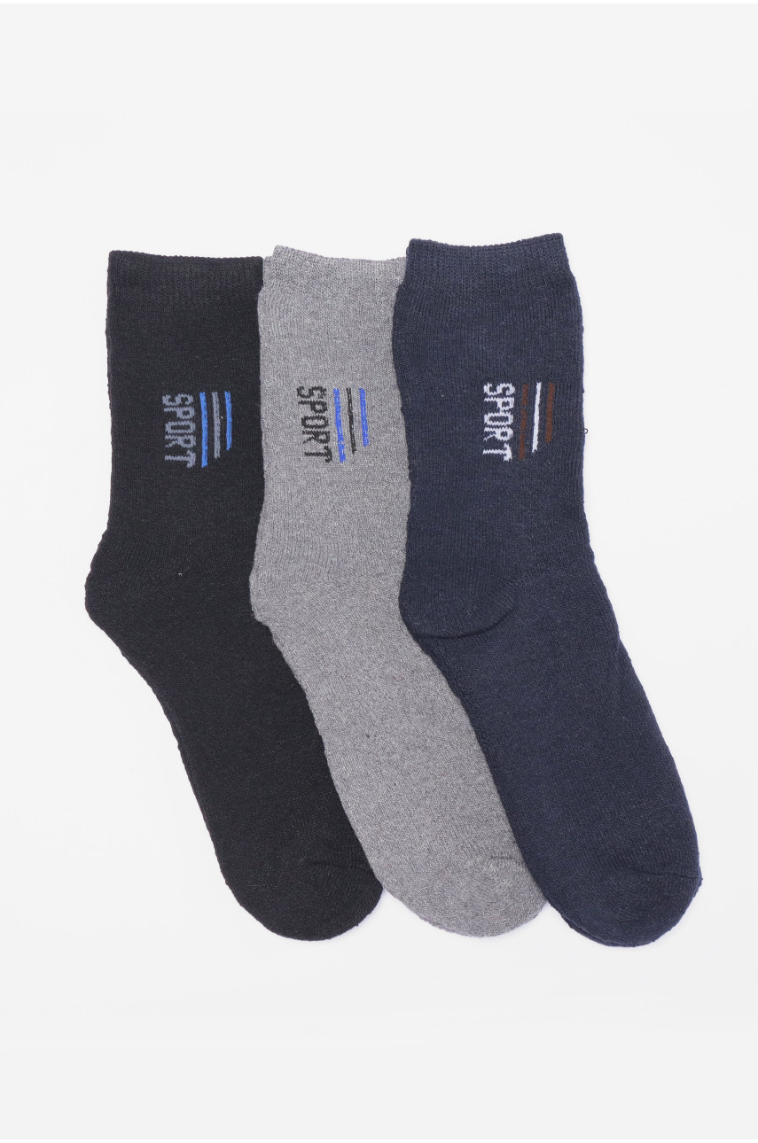 Набір шкарпеток чоловічих махрових 3 штуки 104 190356