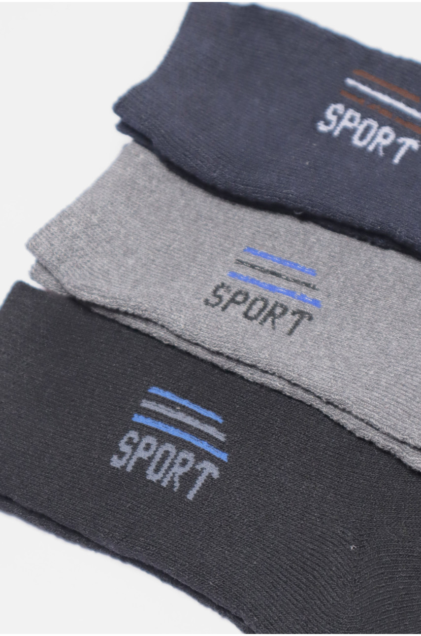 Набір шкарпеток чоловічих махрових 3 штуки 104 190356