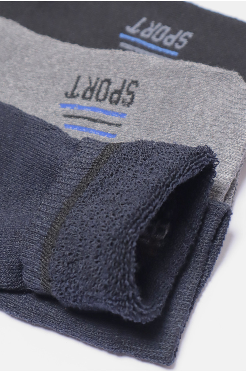 Набір шкарпеток чоловічих махрових 3 штуки 104 190356