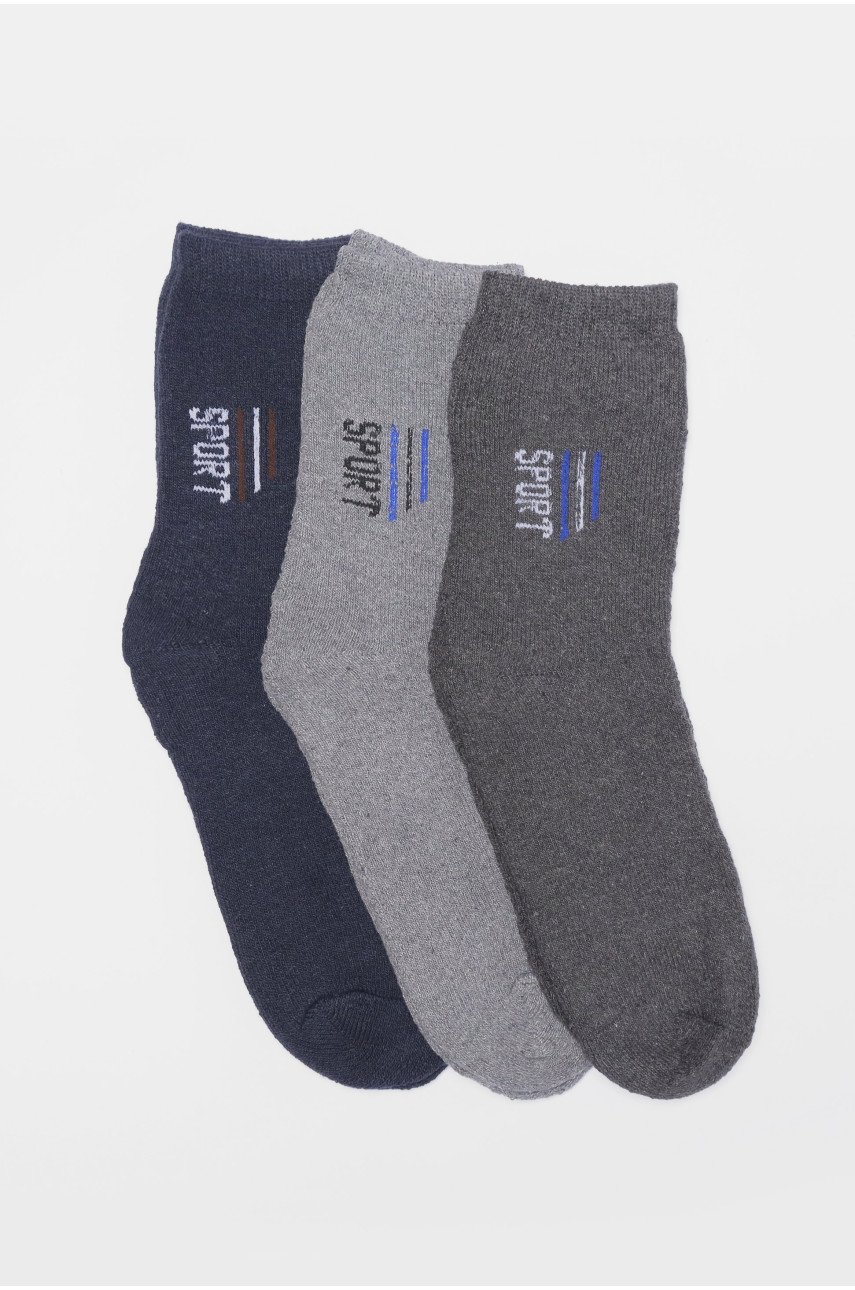 Набір шкарпеток чоловічих махрових 3 штуки 104 190357