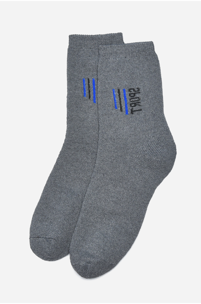 Шкарпетки чоловічі махрові сірого кольору 104 190360