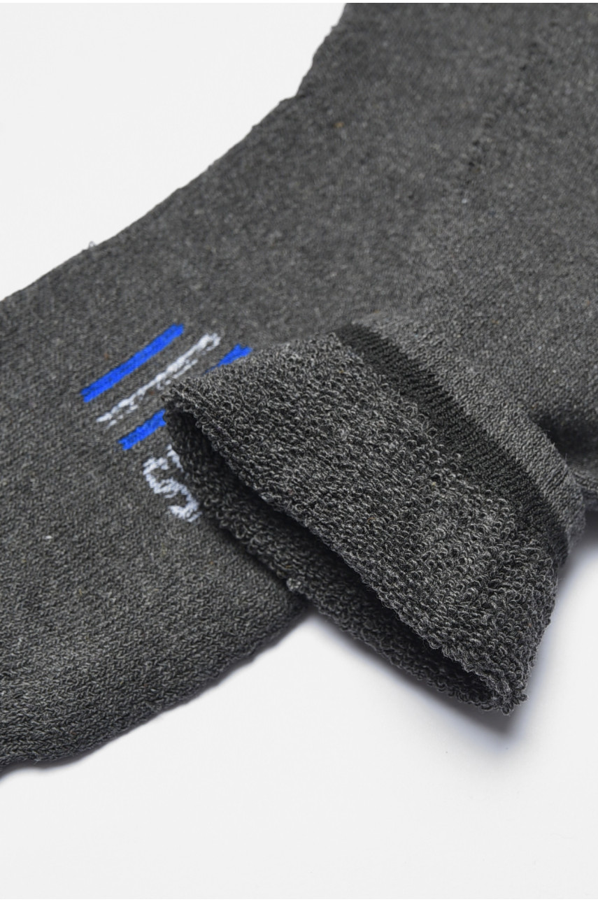 Шкарпетки чоловічі махрові темно-сірого кольору 104 190361