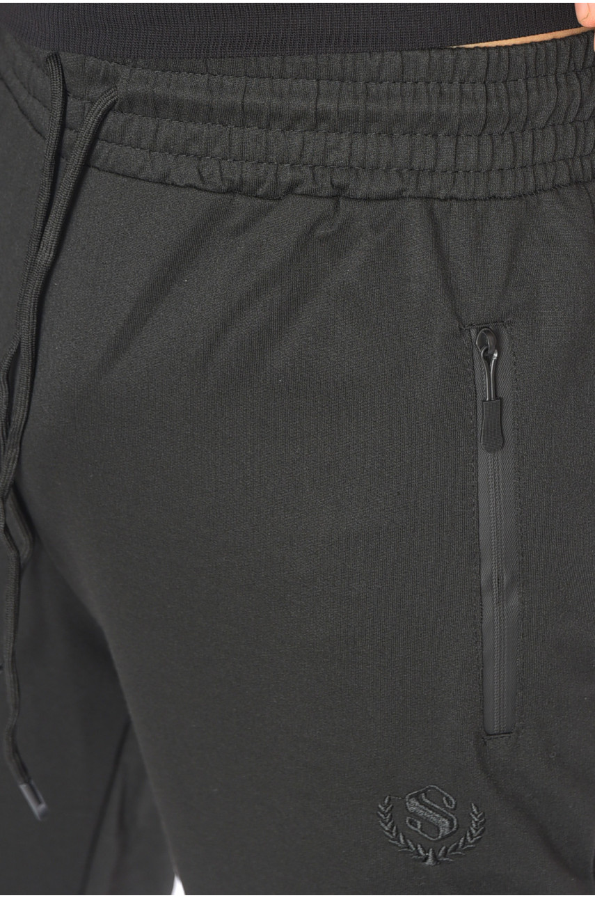 Спортивные штаны мужские полубатальные черного цвета 2076-13 190386 Спортивные штаны мужские полубатальные черного цвета 2076-13 190386