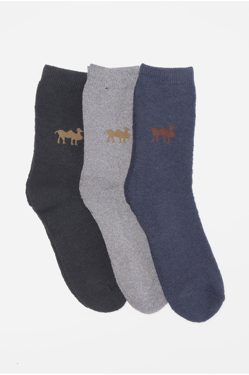 Набір шкарпеток чоловічих махрових 3 штуки А308 190389