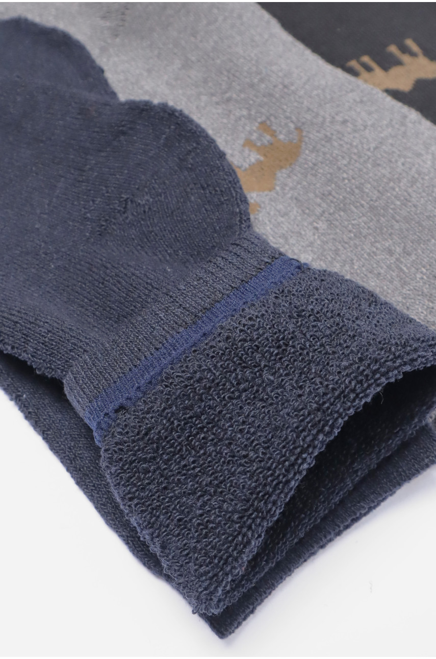 Набір шкарпеток чоловічих махрових 3 штуки А308 190389