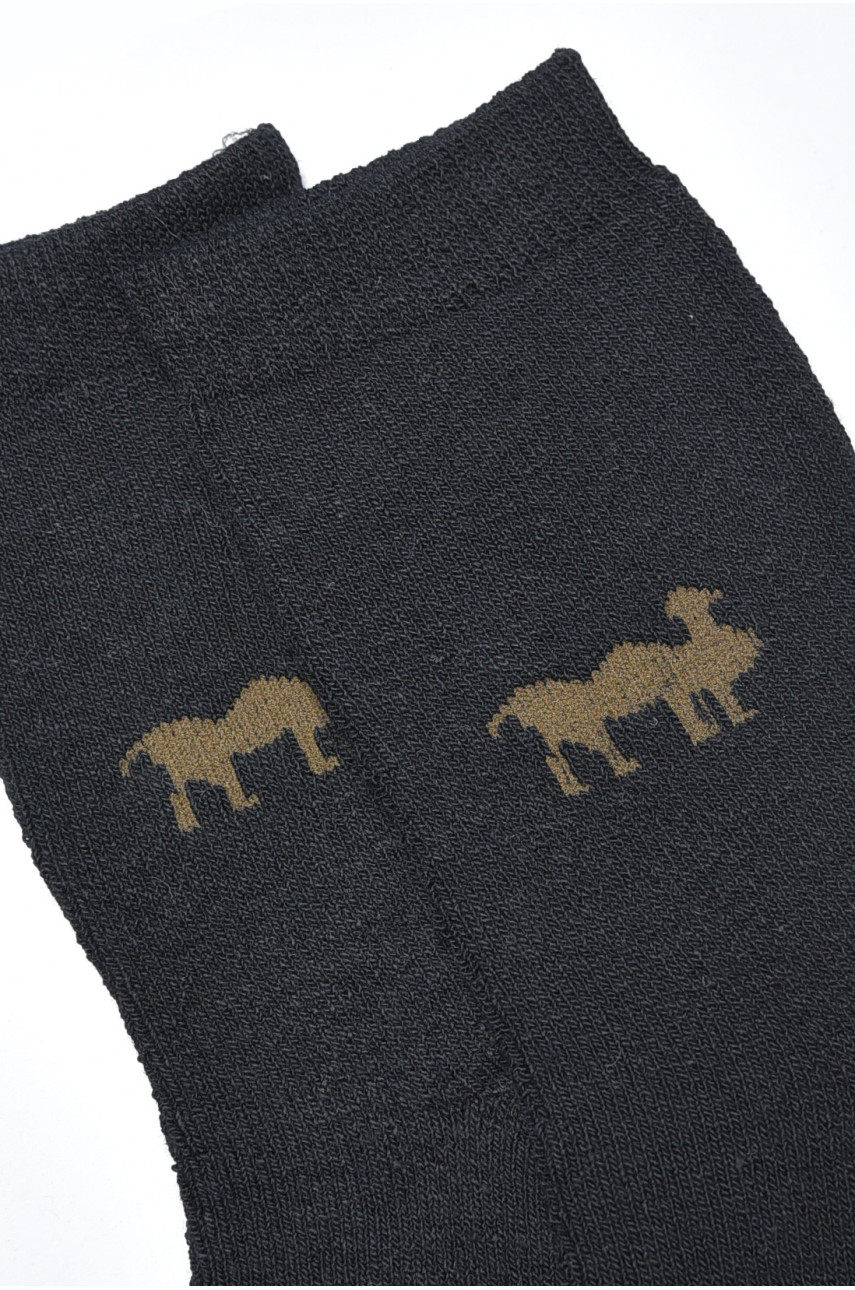Шкарпетки чоловічі махрові чорного кольору А308 190390