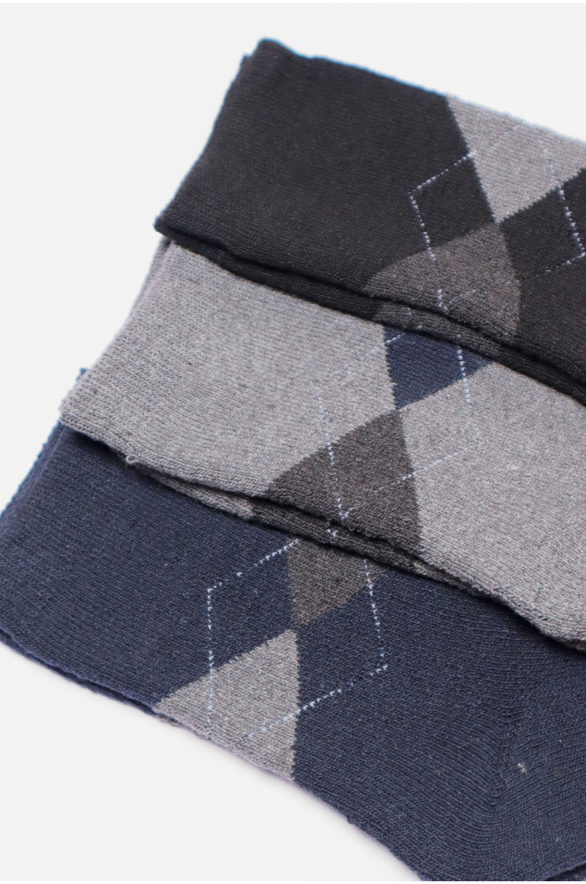 Набір шкарпеток чоловічих махрових 3 штуки А309 190394