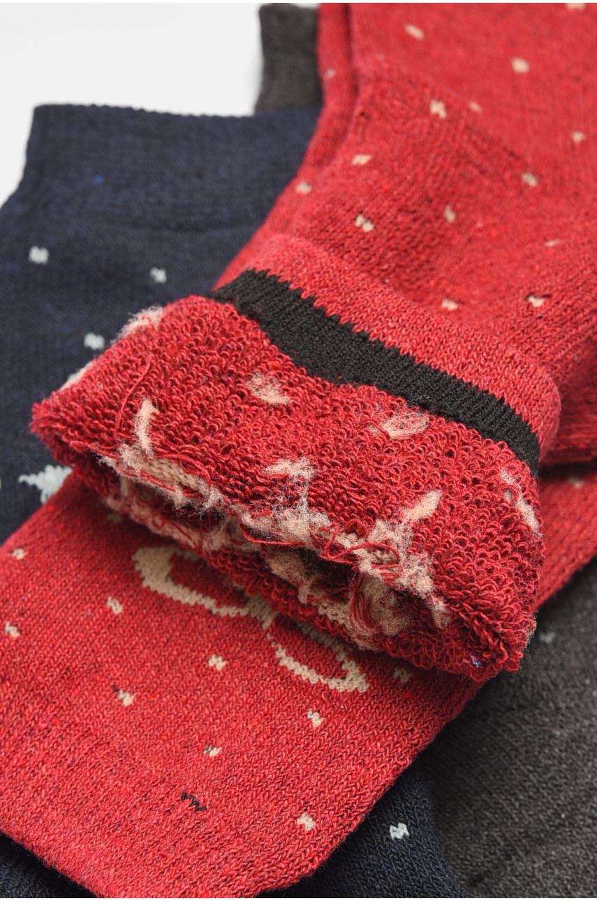 Набір шкарпеток жіночих махрових 3 штуки 883 190420