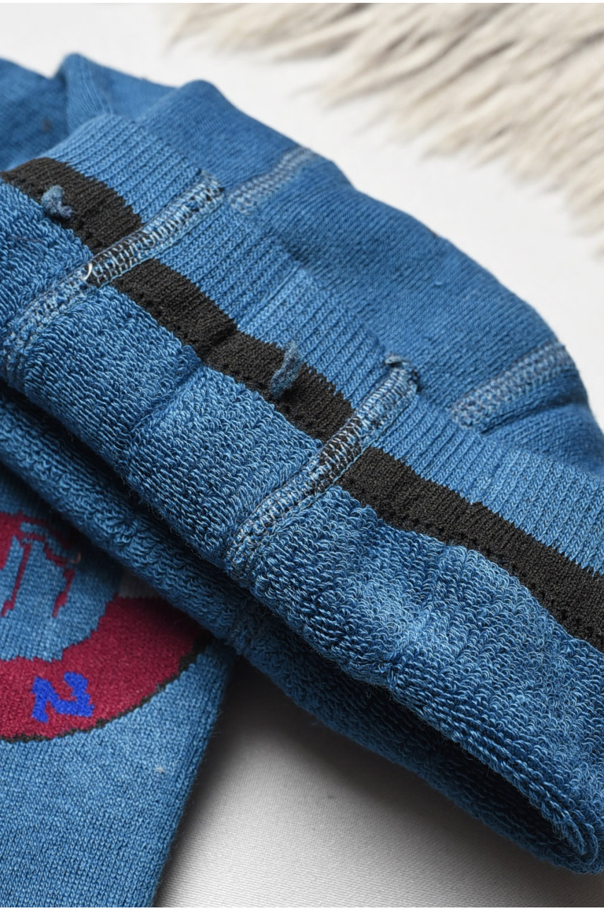 Колготи дитячі махрові для хлопчика синього кольору з малюнком т001 191669