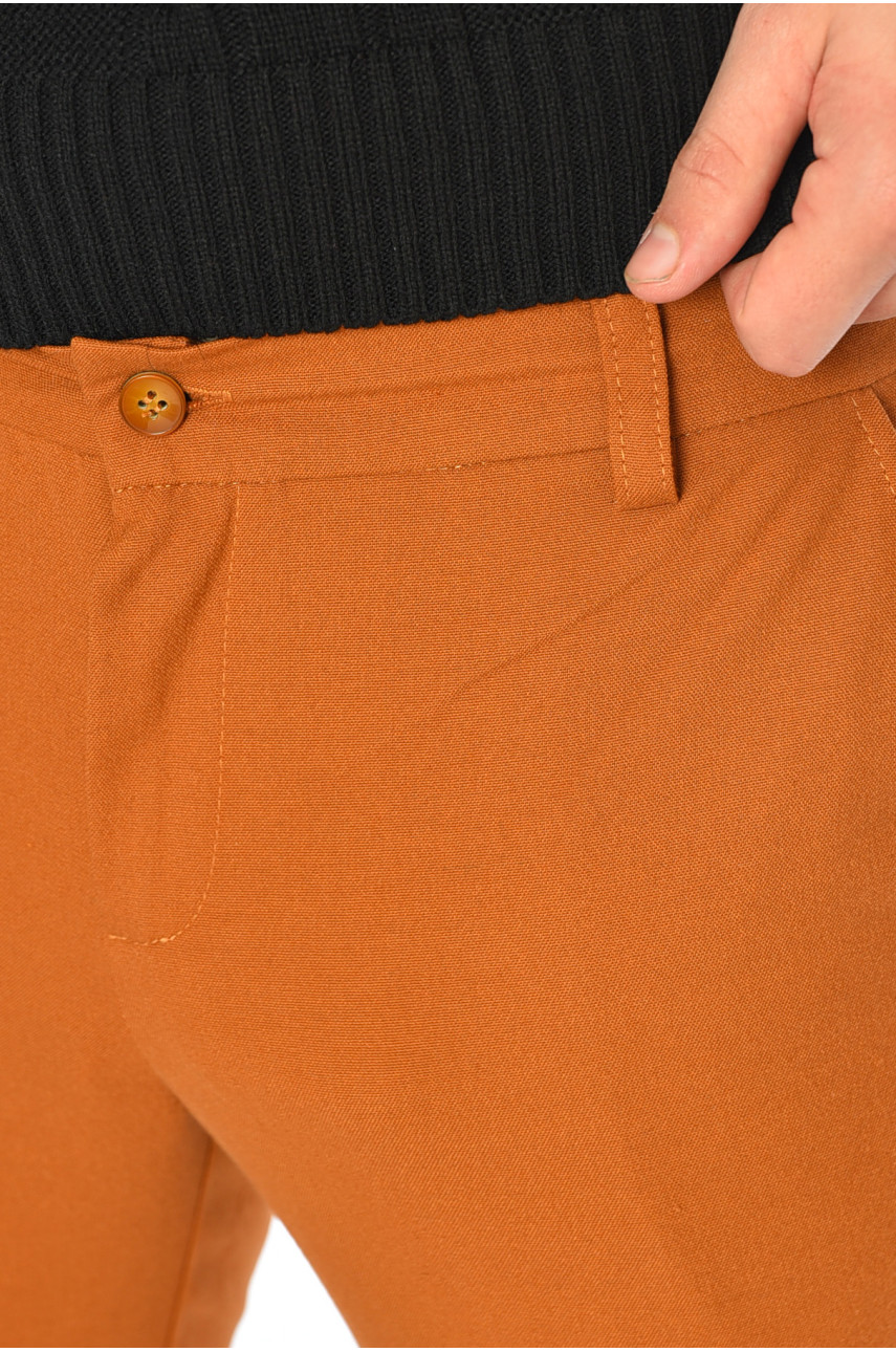 Брюки мужские однотонные коричневого цвета 191698