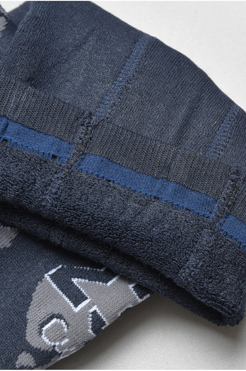 Колготы детские махровые для мальчика темно-синего цвета с рисунком т003 191729 Колготы детские махровые для мальчика темно-синего цвета с рисунком т003 191729