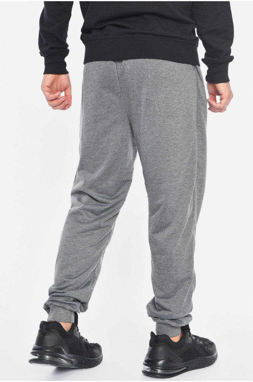 Спортивные штаны мужские серого цвета 41236 191902