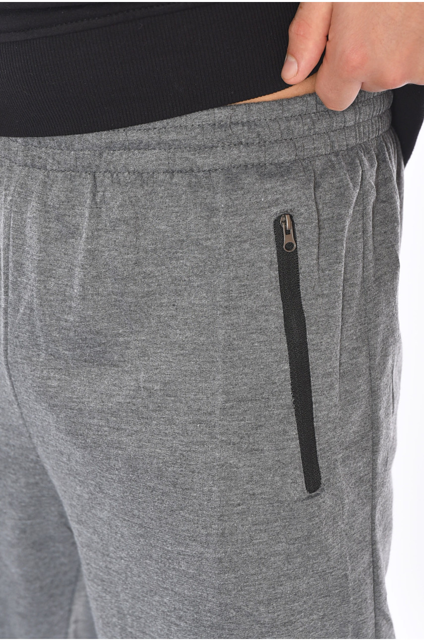 Спортивные штаны мужские серого цвета 41236 191902