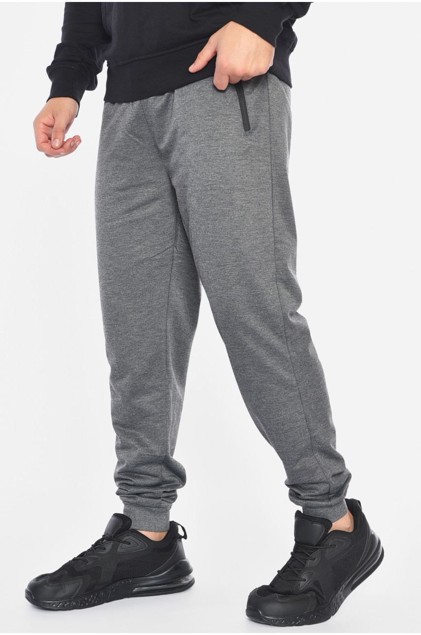 Спортивные штаны мужские серого цвета 41512 191910