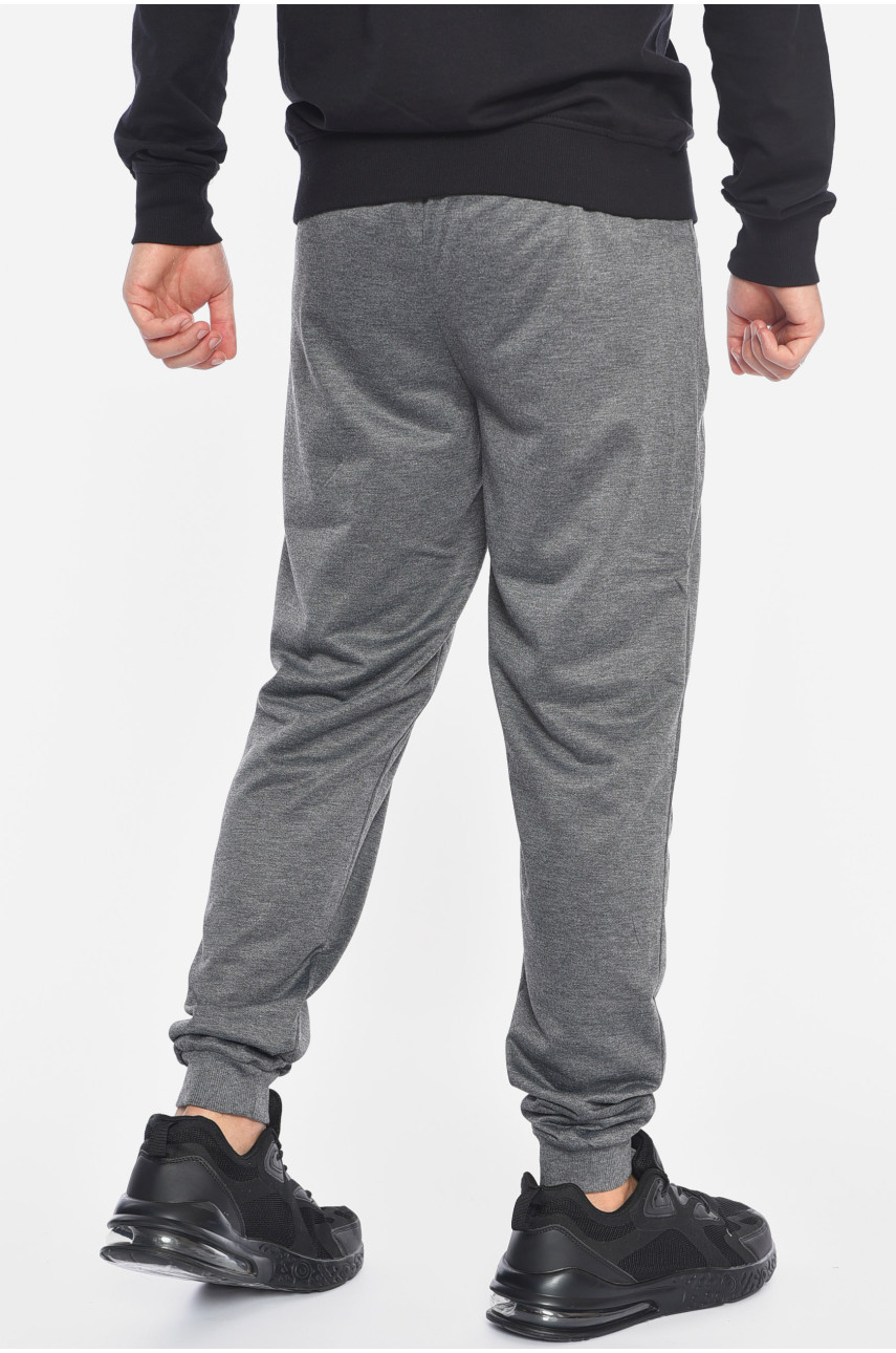 Спортивные штаны мужские серого цвета 41512 191910