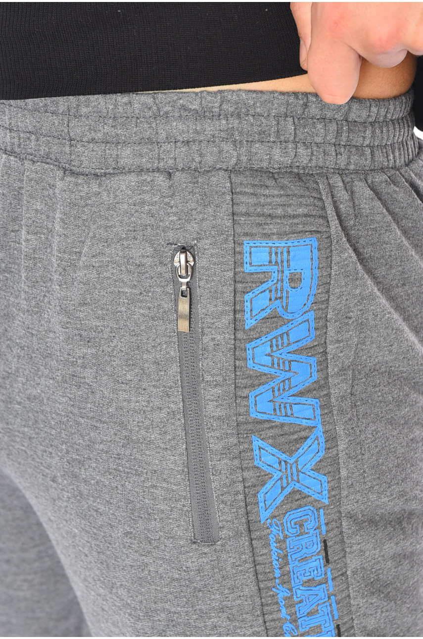 Спортивні штани чоловічі сірого кольору 4932 191951