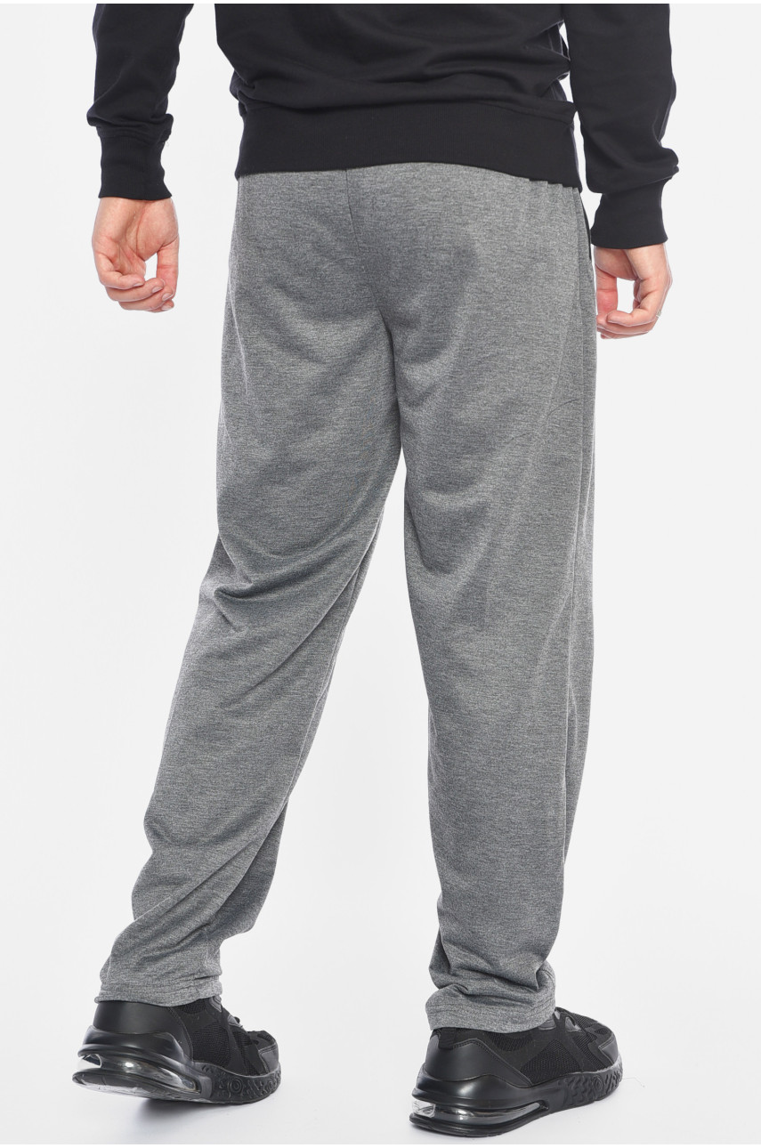 Спортивні штани чоловічі сірого кольору 4664 191958
