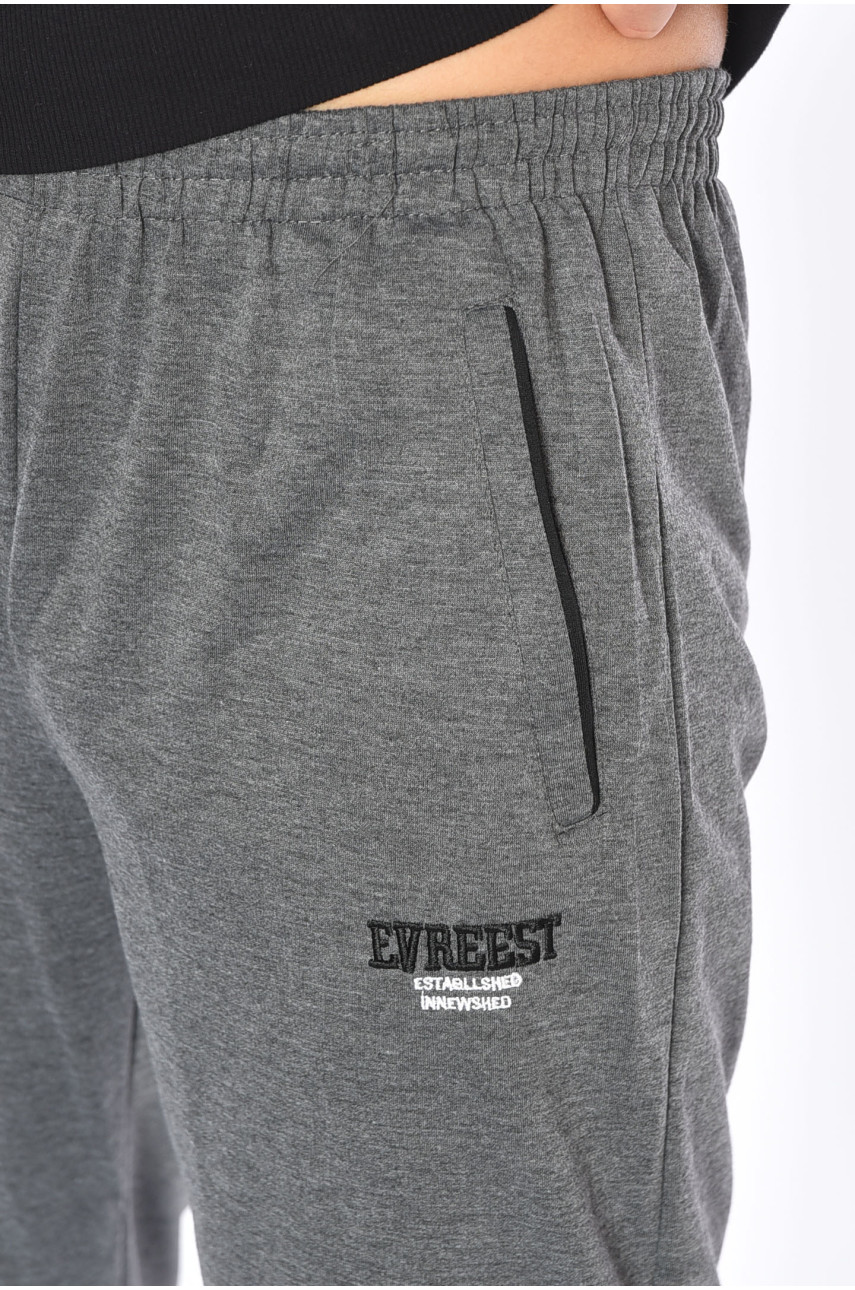 Спортивні штани чоловічі сірого кольору 4664 191958