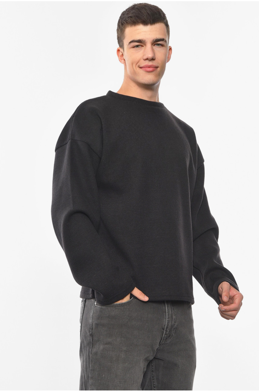 Свитер мужской однотонный черного цвета 117 192134