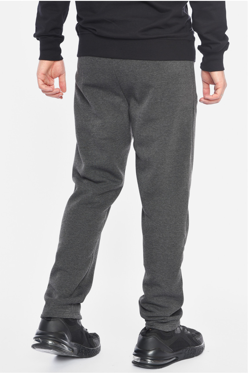 Спортивные штаны мужские на флисе темно-серого цвета А23 192138