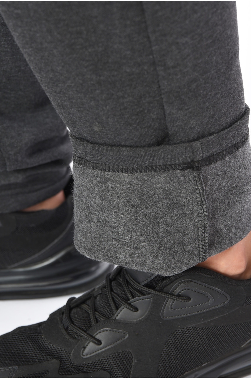 Спортивные штаны мужские на флисе темно-серого цвета А23 192138