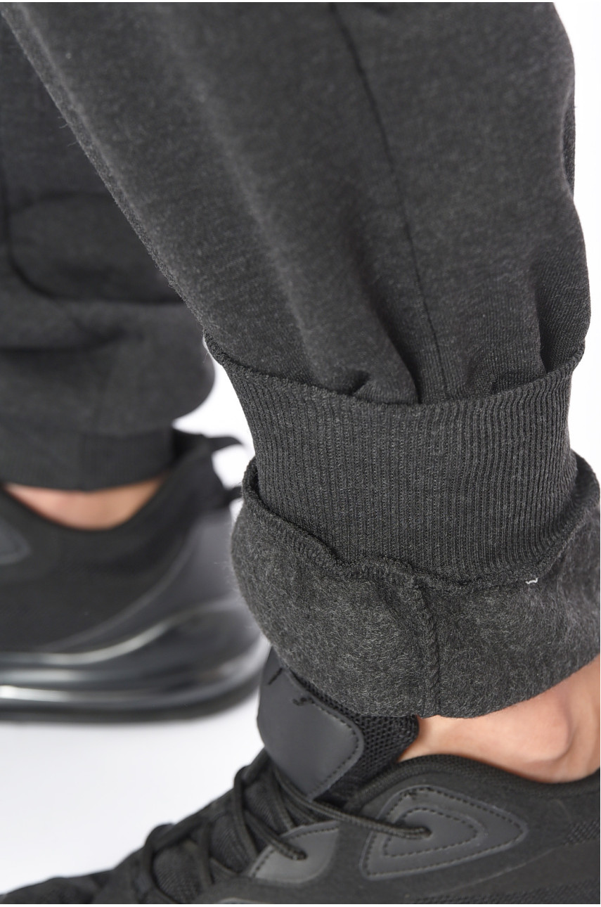 Спортивные штаны мужские на флисе темно-серого цвета L-6718 192142