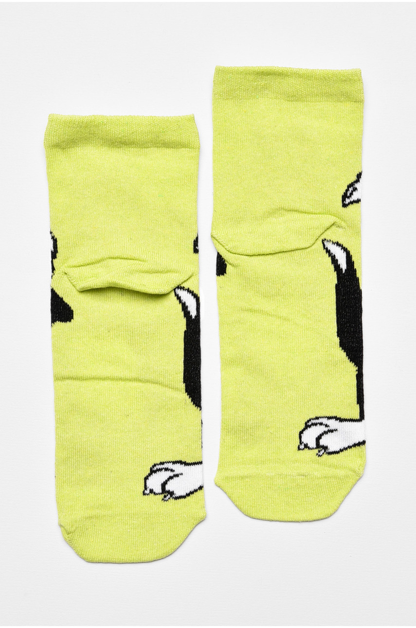 Носки женские демисезонные салатового цвета 362 192255 Носки женские демисезонные салатового цвета 362 192255