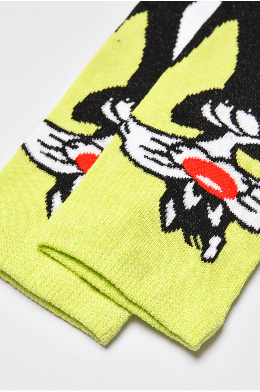 Носки женские демисезонные салатового цвета 362 192255 Носки женские демисезонные салатового цвета 362 192255