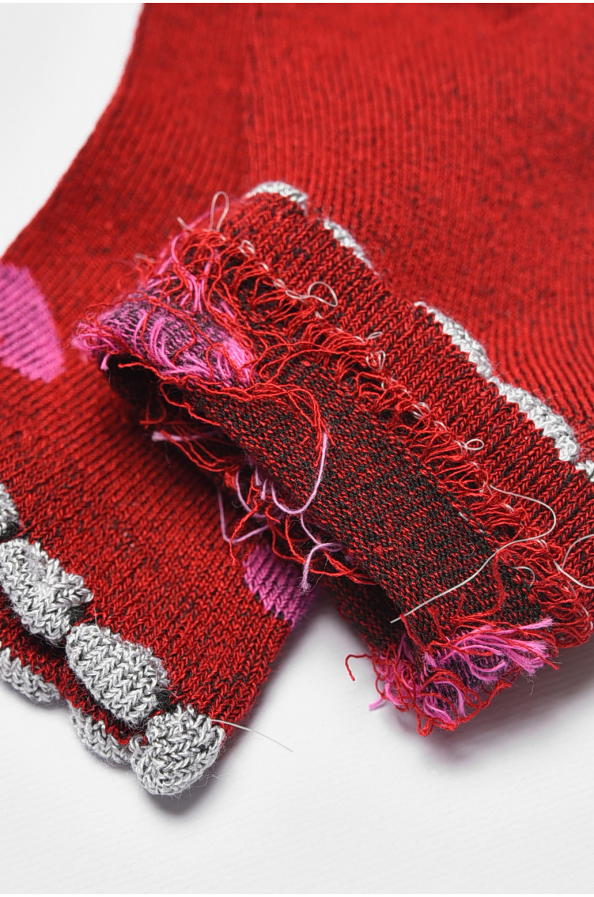 Шкарпетки дитячі демісезонні бордового кольору 601 192272 Шкарпетки дитячі демісезонні бордового кольору 601 192272