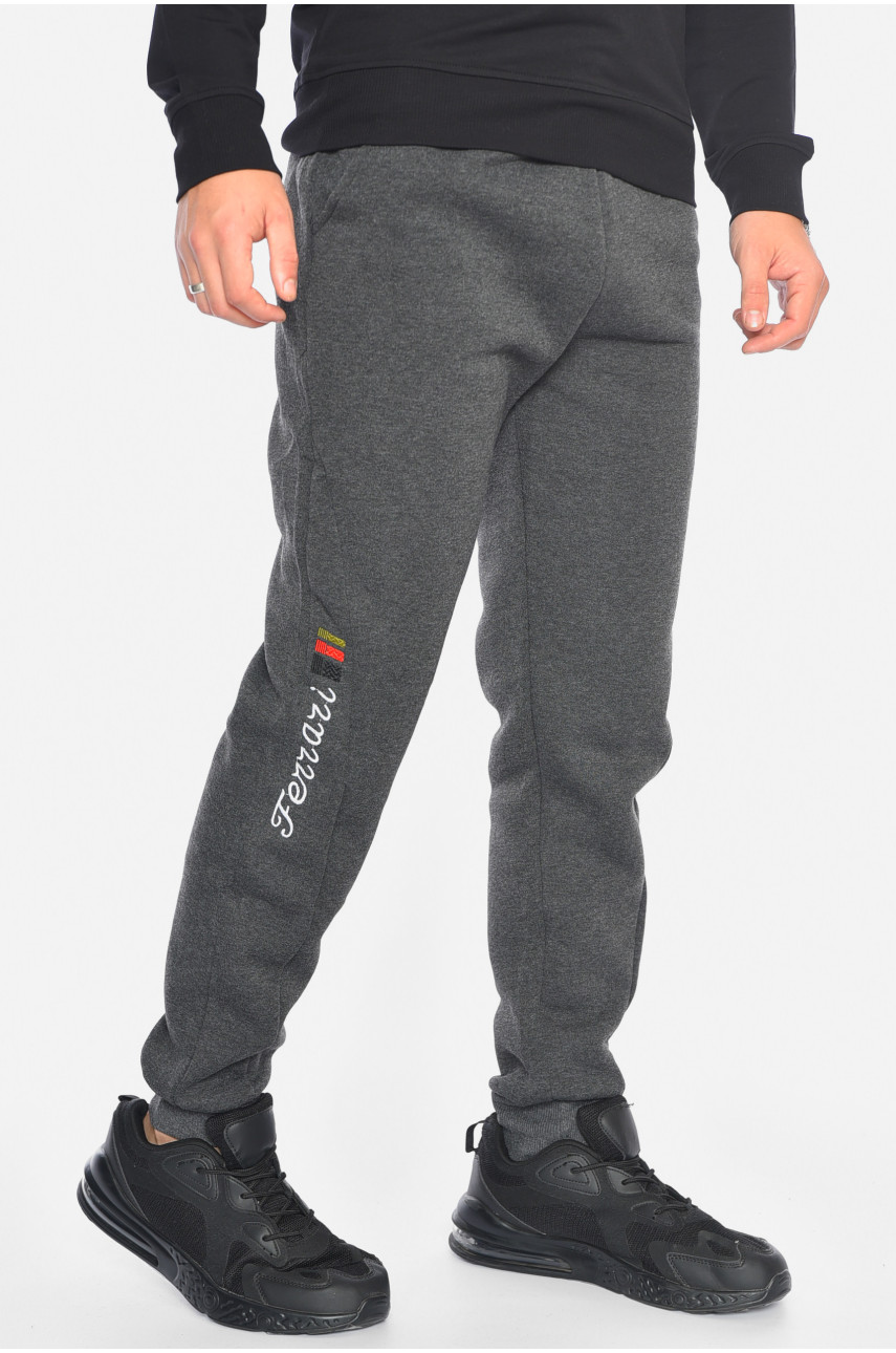 Спортивні штани чоловічі на флісі темно-сірого кольору CS-2203 192530