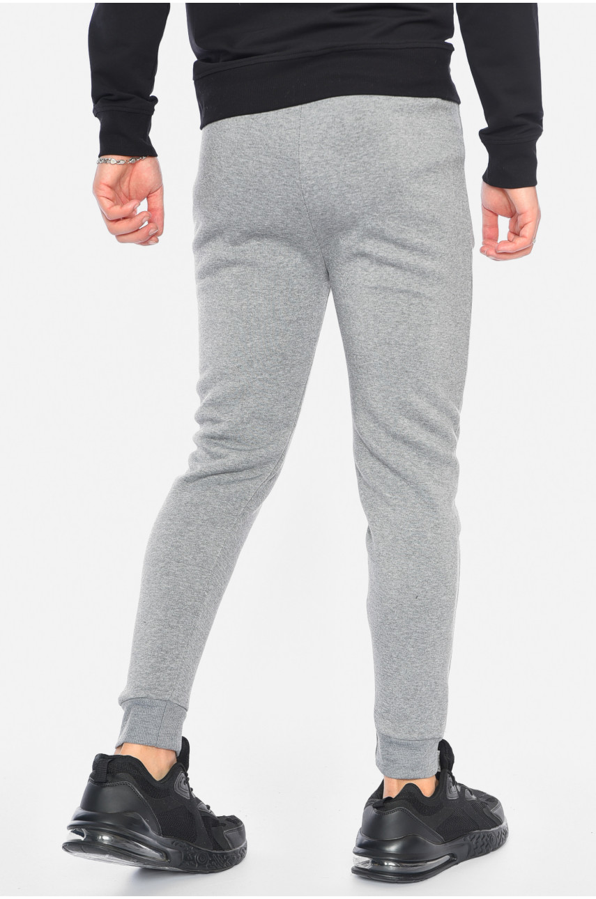Спортивні штани чоловічі на флісі сірого кольору 192534