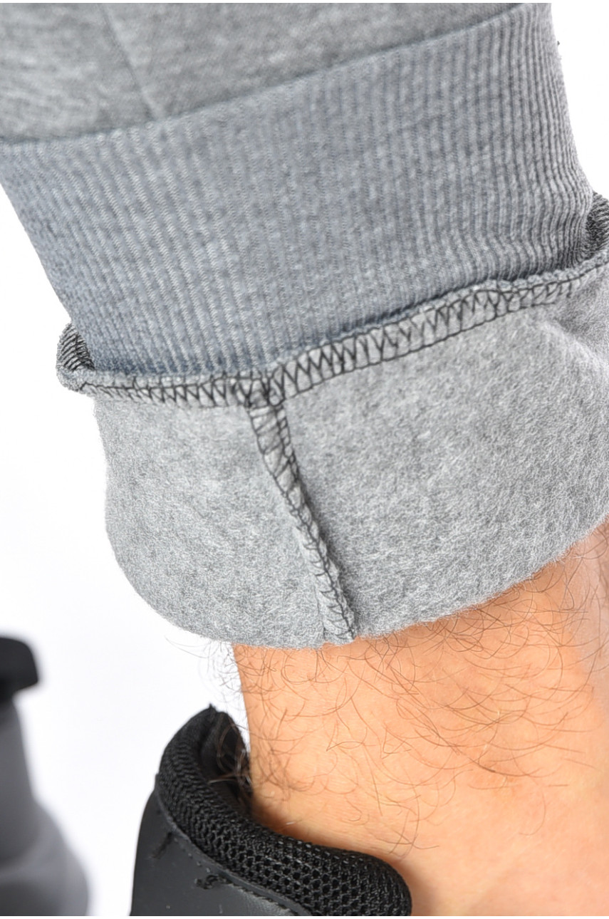 Спортивні штани чоловічі на флісі сірого кольору 192534