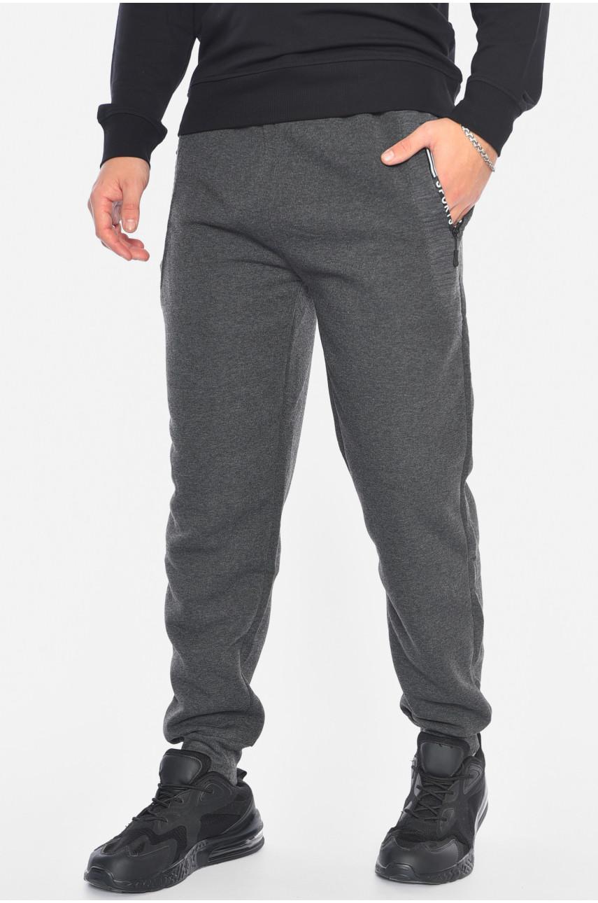 Спортивні штани чоловічі на флісі сірого кольору 6120 192540