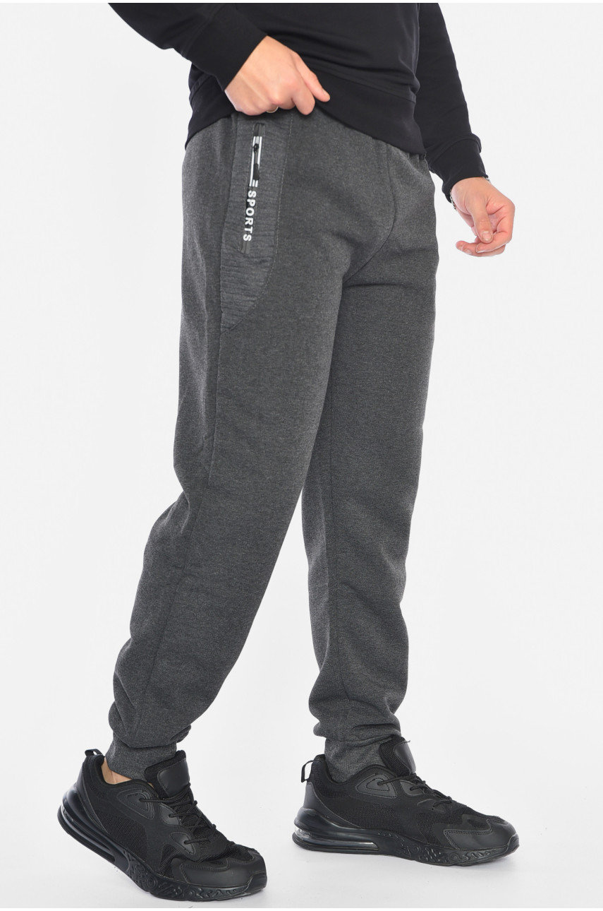 Спортивні штани чоловічі на флісі сірого кольору 6120 192540