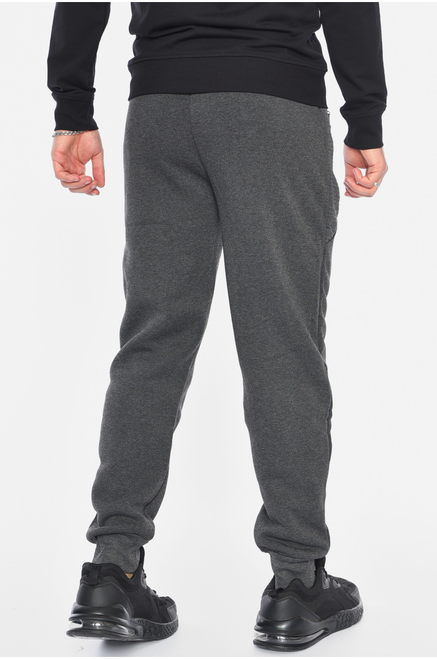 Спортивні штани чоловічі на флісі сірого кольору 6120 192540