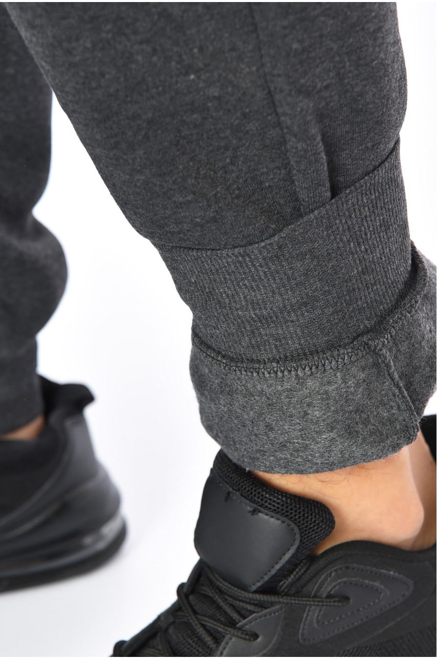 Спортивні штани чоловічі на флісі сірого кольору 6120 192540