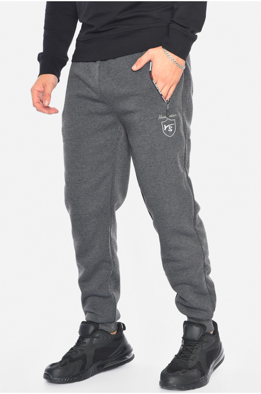 Спортивные штаны мужские на флисе серого цвета 6119 192551 Спортивные штаны мужские на флисе серого цвета 6119 192551