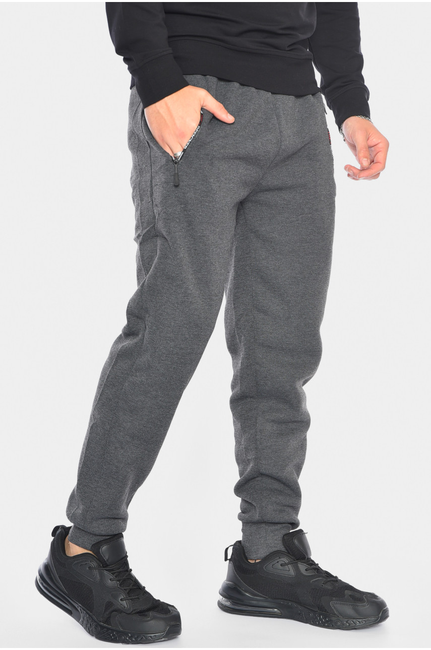 Спортивные штаны мужские на флисе серого цвета 6119 192551 Спортивные штаны мужские на флисе серого цвета 6119 192551
