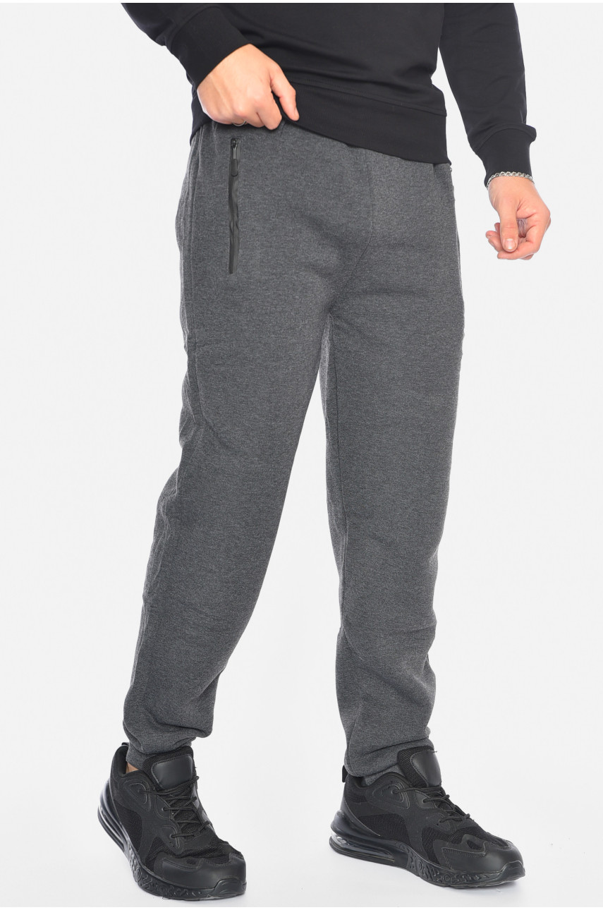 Спортивні штани чоловічі на флісі сірого кольору 6125 192553
