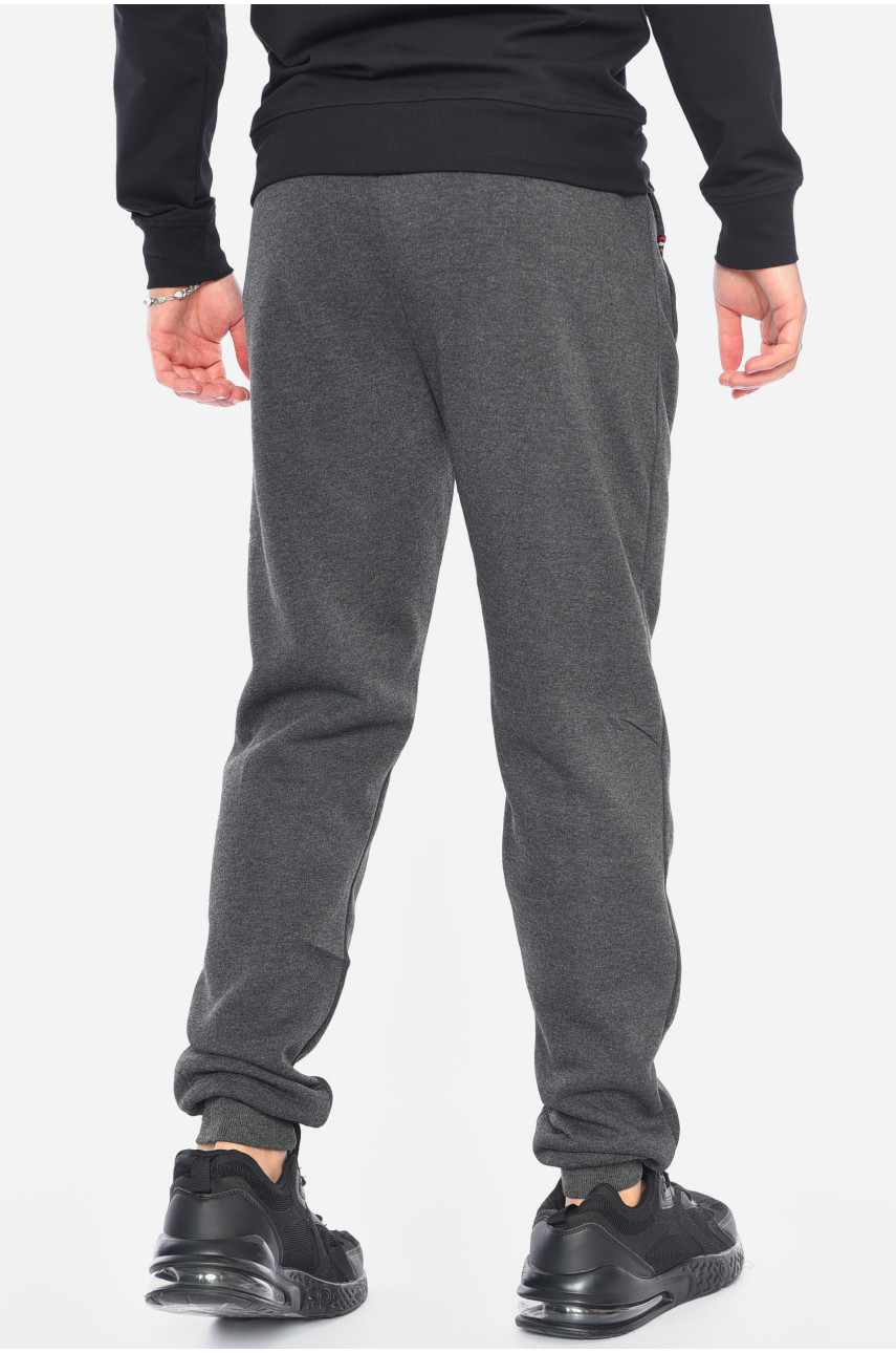 Спортивные штаны мужские на флисе темно-серого цвета 41271 192589 Спортивные штаны мужские на флисе темно-серого цвета 41271 192589