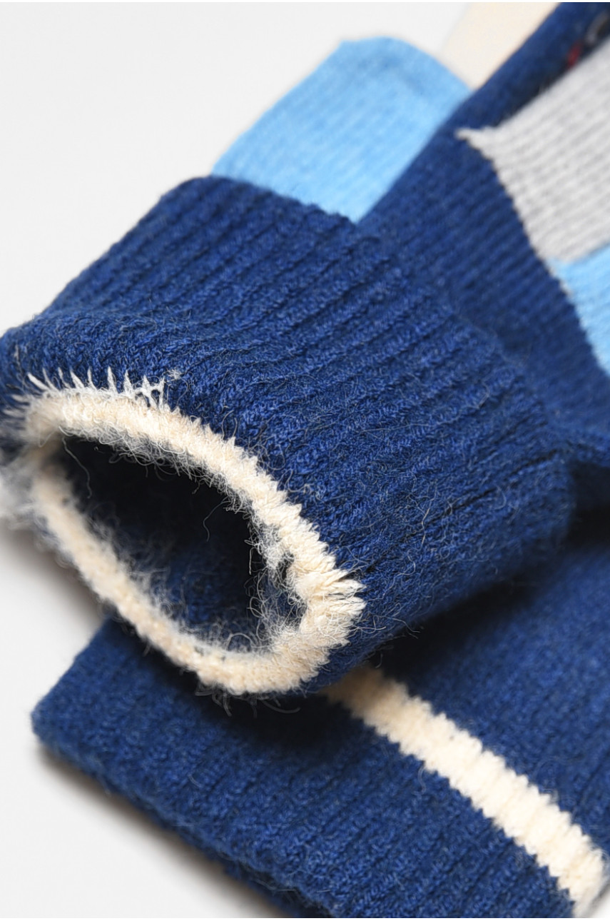 Рукавички дитячі демісезонні темно-синього кольору з малюнком 2430 192729 Рукавички дитячі демісезонні темно-синього кольору з малюнком 2430 192729