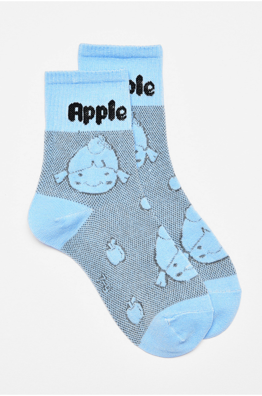 Носки детские демисезонные голубого цвета с рисунком 078 192893