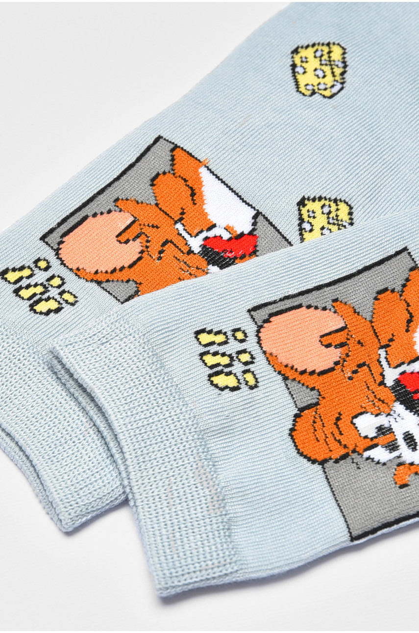 Носки детские демисезонные голубого цвета с рисунком. М101 192911